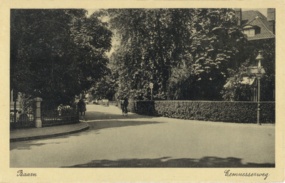 7303 Gezicht in de Eemnesserweg te Baarn uit het oosten.